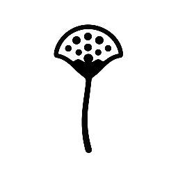 Mold Remediation Columbus